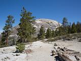 Yosemite 026